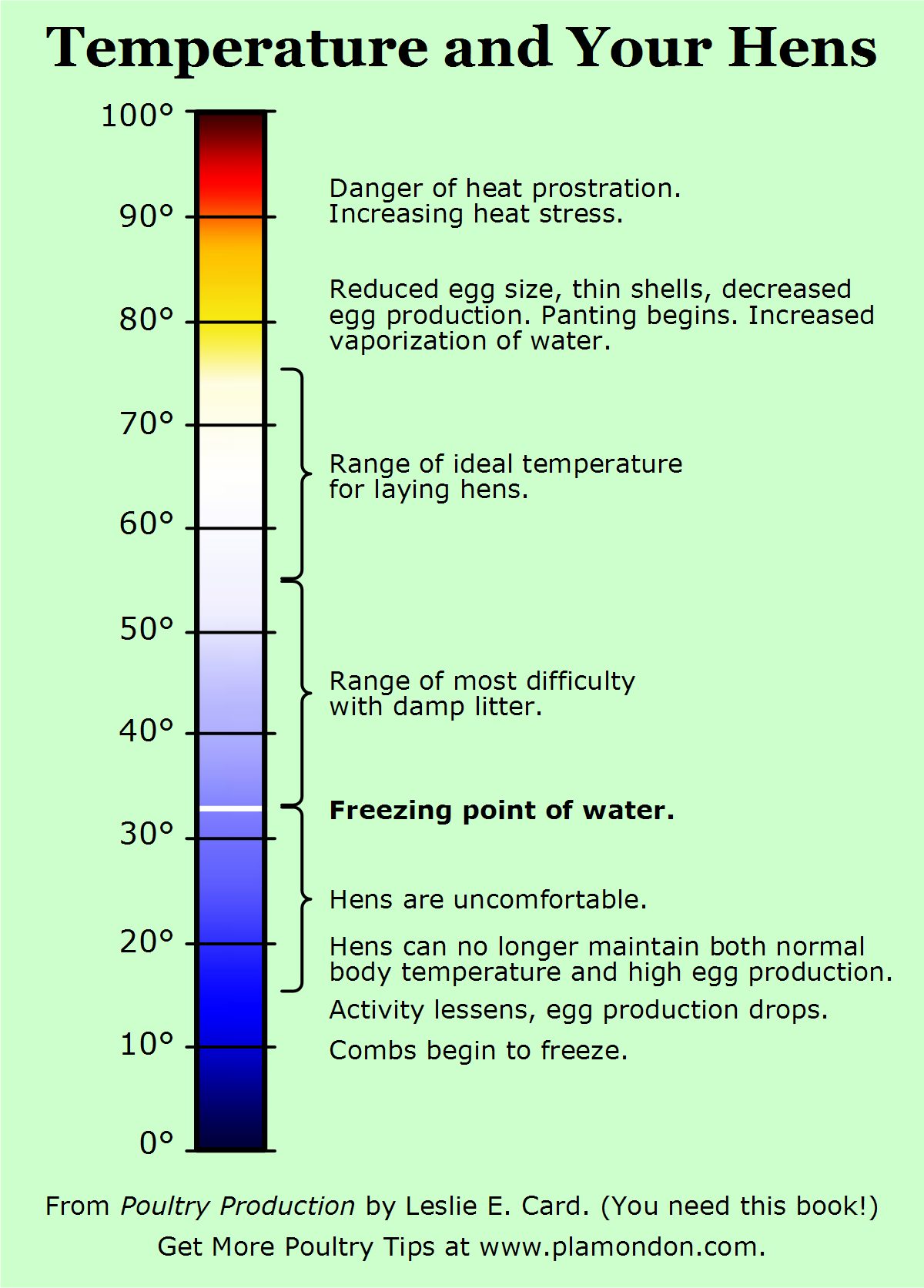 Temperature and Your Hens, from Poultry Production by Leslie E Card, published by Norton Creek Press.