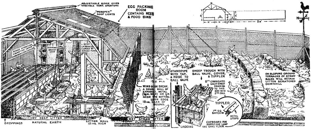 The Henyard System