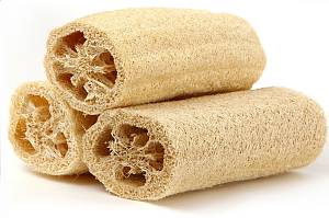 loofah_egg_cleaner